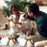 HKM-600787 Christmas Velvet Drawstring Bags - 5 Pack Festive Gift Pouches for Jewelry and Treats