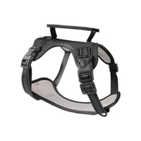 HKM-6012349 Adjustable Dog Chest Harness with Traction Rope - Available in Multiple Colors