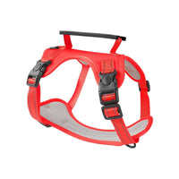 HKM-6012349 Adjustable Dog Chest Harness with Traction Rope - Available in Multiple Colors