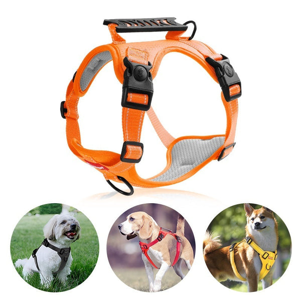 HKM-6012349 Adjustable Dog Chest Harness with Traction Rope - Available in Multiple Colors