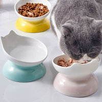 HKM-6013245 Modern Ceramic High-Foot Cat and Small Dog Bowl in Various Colors
