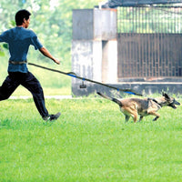 HKM-6018621 Reflective Elastic Dog Leash with Adjustable Belt and Pocket for Hands-Free Control