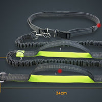HKM-6018621 Reflective Elastic Dog Leash with Adjustable Belt and Pocket for Hands-Free Control