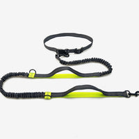 HKM-6018621 Reflective Elastic Dog Leash with Adjustable Belt and Pocket for Hands-Free Control