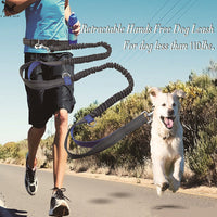 HKM-6018621 Reflective Elastic Dog Leash with Adjustable Belt and Pocket for Hands-Free Control