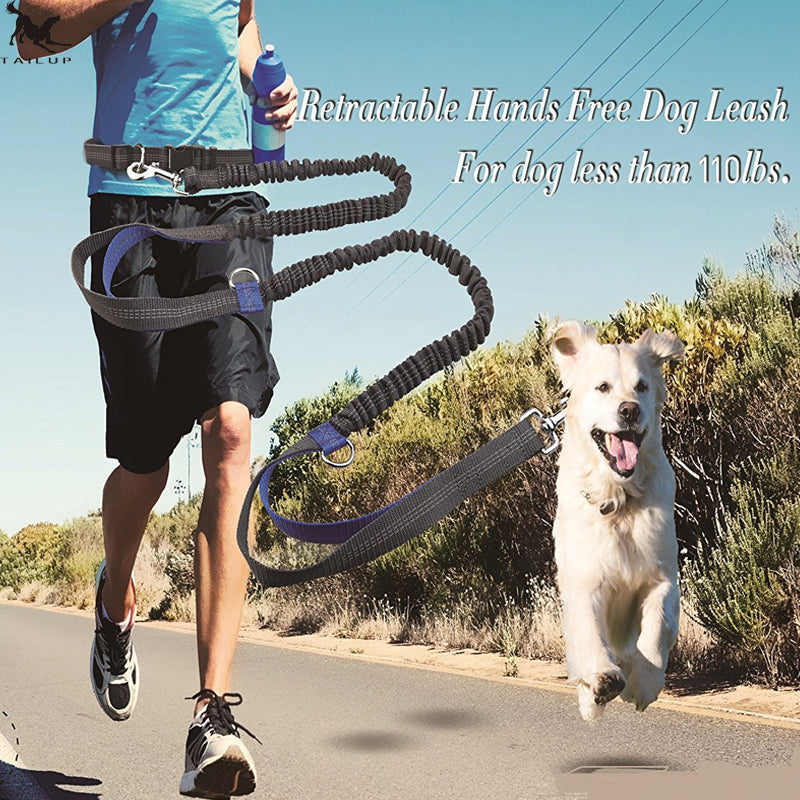 HKM-6018621 Reflective Elastic Dog Leash with Adjustable Belt and Pocket for Hands-Free Control