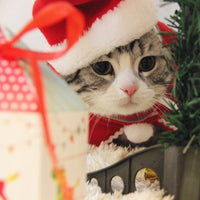 HKM-6019389 Small Christmas Pet Tiara with Rabbit Hair and Cotton Headband