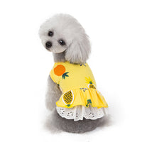 HKM-6021181 Spring & Summer Coral Velvet Dog Skirt for Female Puppies