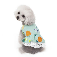 HKM-6021181 Spring & Summer Coral Velvet Dog Skirt for Female Puppies