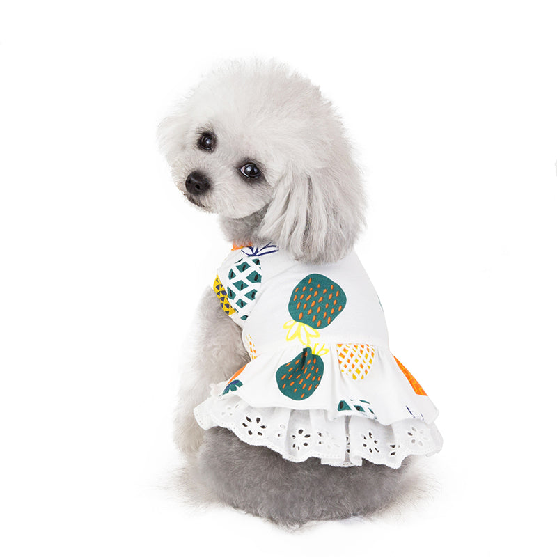 HKM-6021181 Spring & Summer Coral Velvet Dog Skirt for Female Puppies
