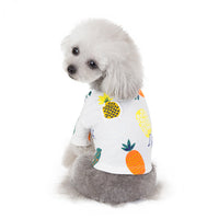 HKM-6021181 Spring & Summer Coral Velvet Dog Skirt for Female Puppies