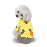 HKM-6021181 Spring & Summer Coral Velvet Dog Skirt for Female Puppies