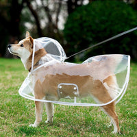 HKM-6024381 Transparent Pet Raincoat with White Edging - Lightweight EVA Material for Dogs in Multiple Sizes