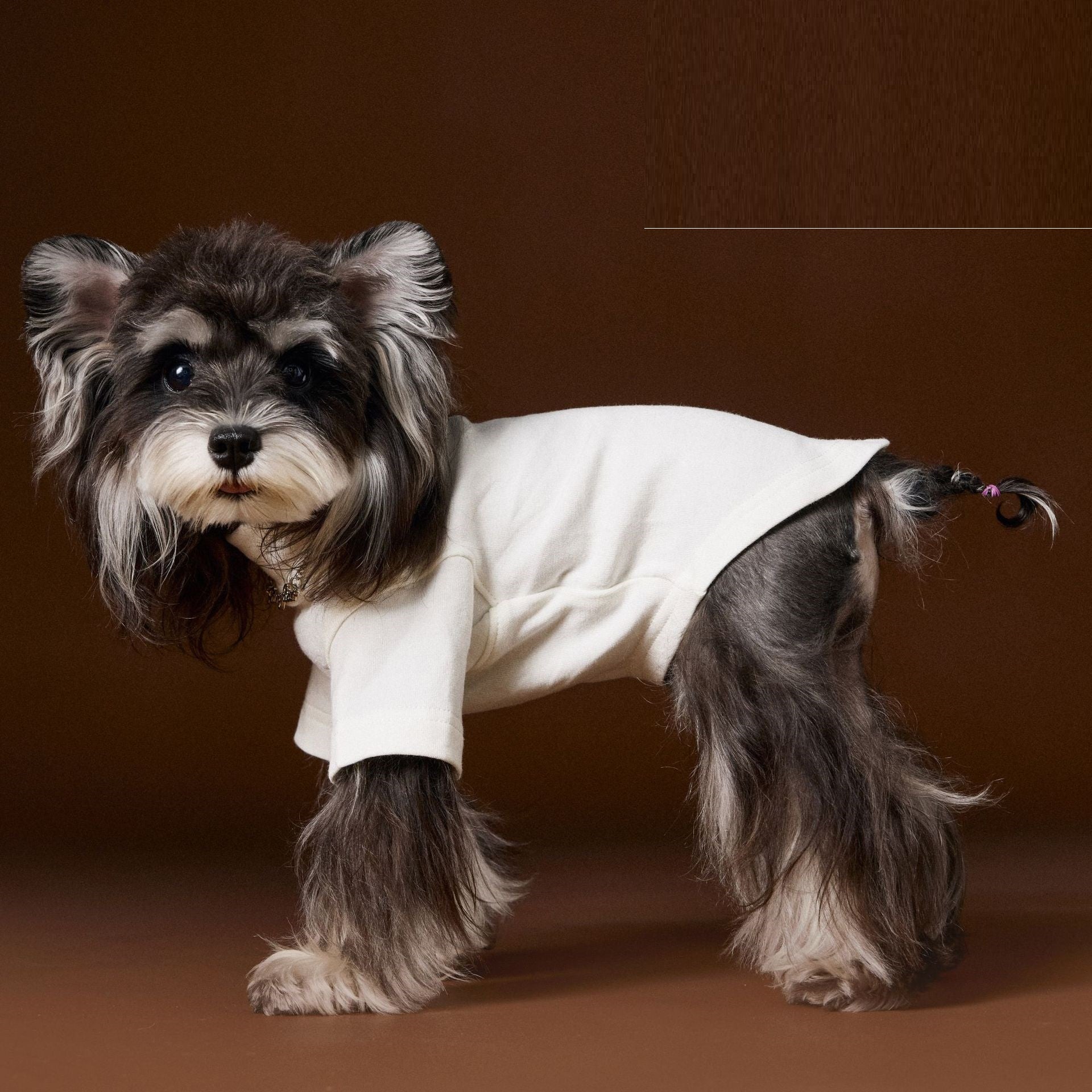 HKM-6030141 Handsome Teddy Schnauzer Bear Solid Color Bottom Shirt with Necklace for Pets
