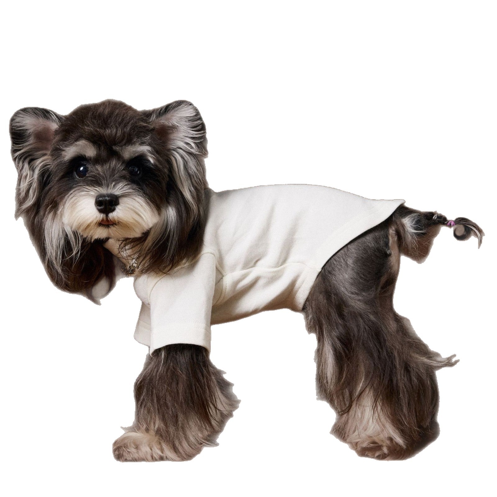 HKM-6030141 Handsome Teddy Schnauzer Bear Solid Color Bottom Shirt with Necklace for Pets