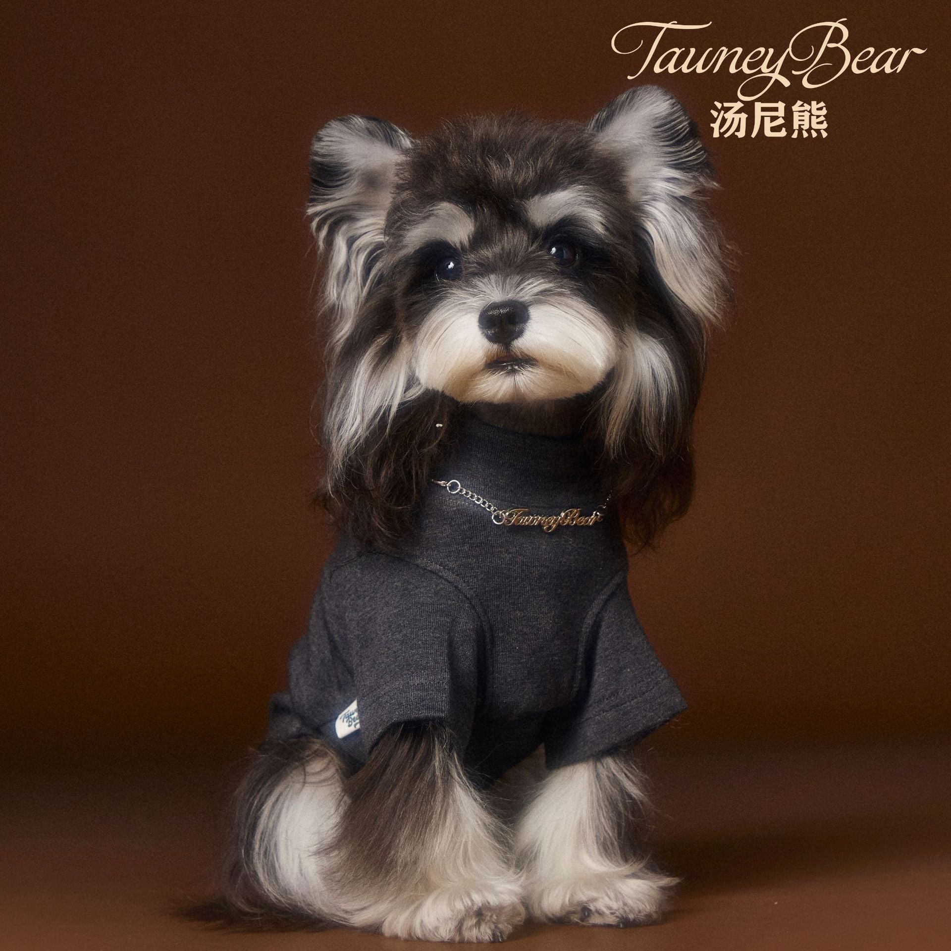 HKM-6030141 Handsome Teddy Schnauzer Bear Solid Color Bottom Shirt with Necklace for Pets