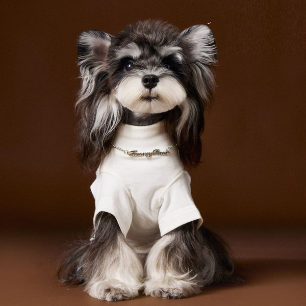 HKM-6030141 Handsome Teddy Schnauzer Bear Solid Color Bottom Shirt with Necklace for Pets