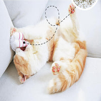 HKM-6032957 Cat Sushi Toy with Catnip, Bite-Resistant Soft Velvet - Sweet Shrimp & Tamago Styles