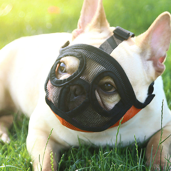 HKM-6039741 Breathable Dog Muzzle for Small Breeds - Adjustable and Comfortable for Barking Prevention and Safety