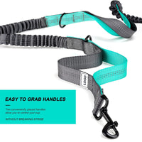 HKM-6039869 Waterproof Outdoor Pet Training Waist Bag with Adjustable Leash and Collar Set