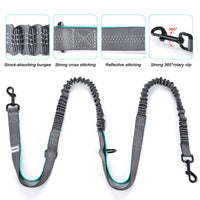 HKM-6039869 Waterproof Outdoor Pet Training Waist Bag with Adjustable Leash and Collar Set