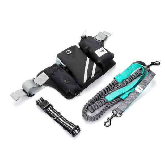 HKM-6039869 Waterproof Outdoor Pet Training Waist Bag with Adjustable Leash and Collar Set