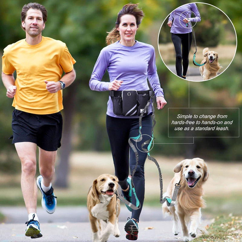 HKM-6039869 Waterproof Outdoor Pet Training Waist Bag with Adjustable Leash and Collar Set