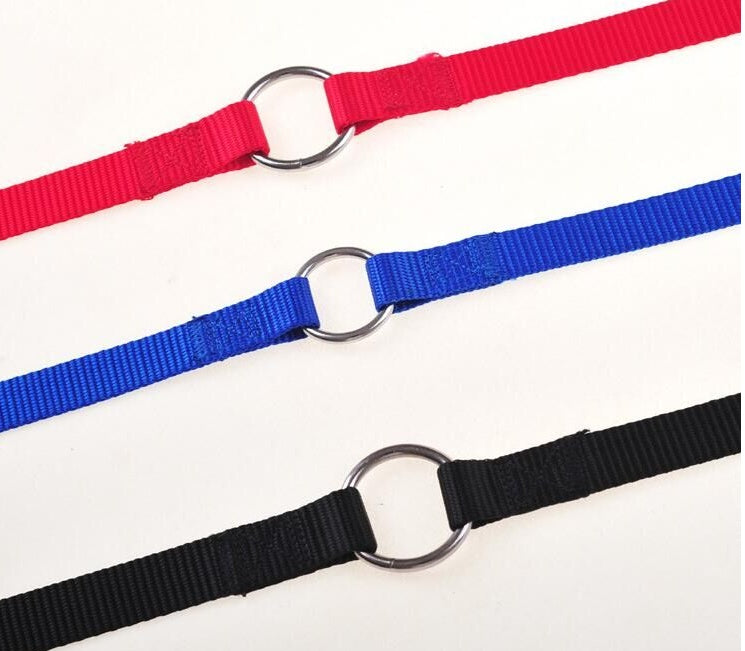 HKM-6045629 Double Dog Walking Leash Coupler - Nylon, Adjustable Lengths in Purple, Red, Blue, Black
