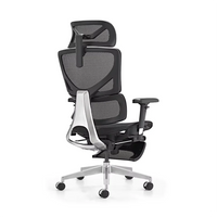 HKM-604883 Ergonomic Mesh Office Chair with Adjustable Armrests and Reclining Features