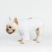 HKM-6057917 Comfortable Cotton Pet Shirt in Hong Kong Tide Duck Design - Available in Multiple Sizes
