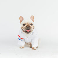 HKM-6057917 Comfortable Cotton Pet Shirt in Hong Kong Tide Duck Design - Available in Multiple Sizes