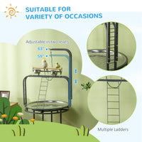 HKM-6064957 Large Bird Perch Stand with Toy Hook & 3 Ladders, Comfortable Wooden Perch for Parrots, Gray