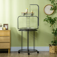 HKM-6064957 Large Bird Perch Stand with Toy Hook & 3 Ladders, Comfortable Wooden Perch for Parrots, Gray
