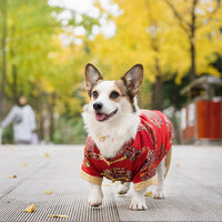 HKM-6065469 Cotton Dog Tang Dress for Celebrating Special Occasions, Sizes 14-22