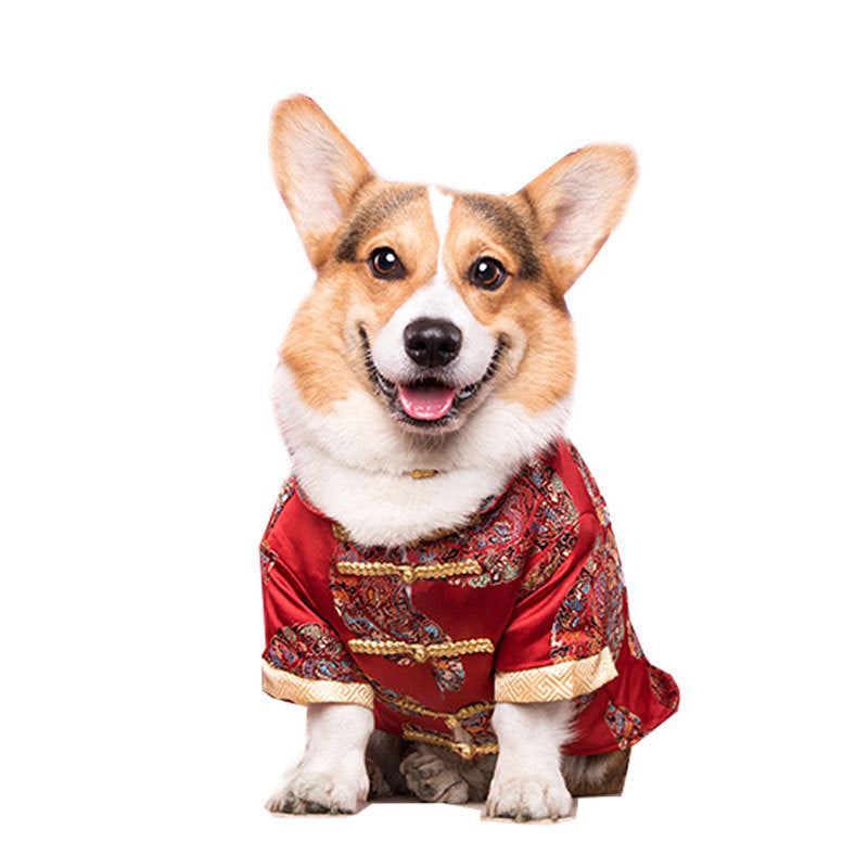 HKM-6065469 Cotton Dog Tang Dress for Celebrating Special Occasions, Sizes 14-22