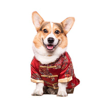HKM-6065469 Cotton Dog Tang Dress for Celebrating Special Occasions, Sizes 14-22