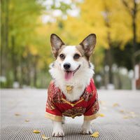 HKM-6065469 Cotton Dog Tang Dress for Celebrating Special Occasions, Sizes 14-22