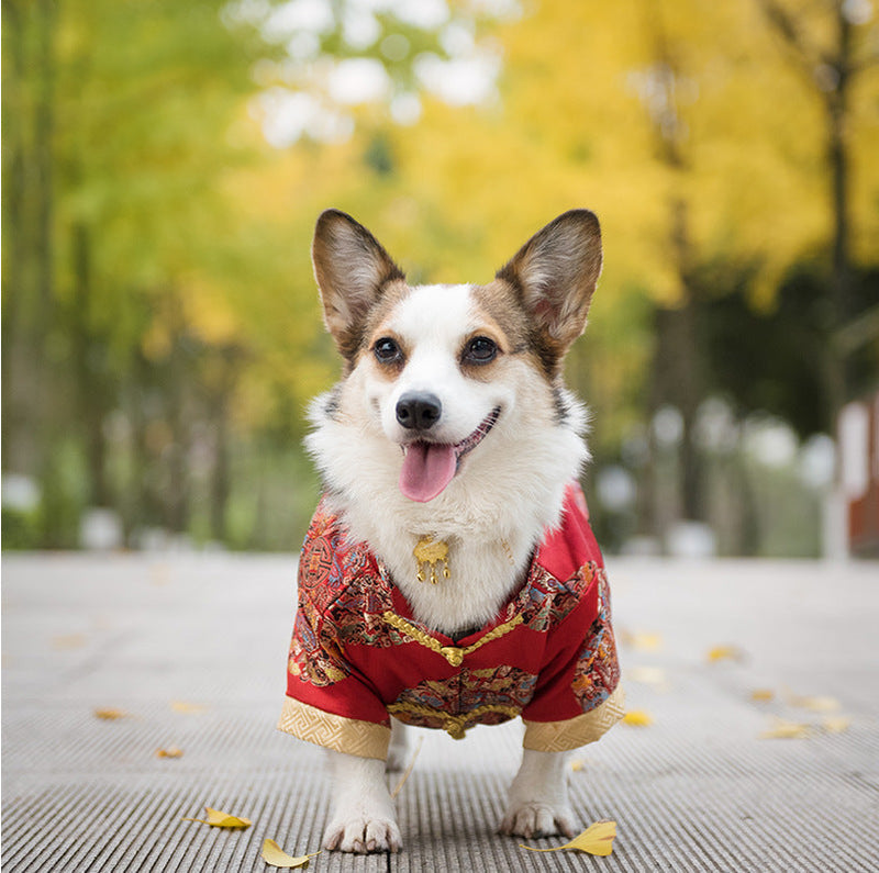 HKM-6065469 Cotton Dog Tang Dress for Celebrating Special Occasions, Sizes 14-22