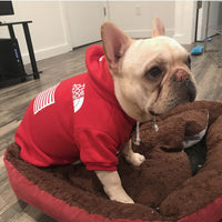 HKM-6082749 Cozy Polyester Sweatshirt for Dogs - Autumn & Winter Season Apparel