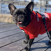 HKM-6082749 Cozy Polyester Sweatshirt for Dogs - Autumn & Winter Season Apparel