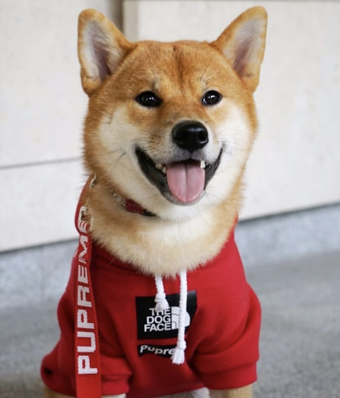 HKM-6082749 Cozy Polyester Sweatshirt for Dogs - Autumn & Winter Season Apparel