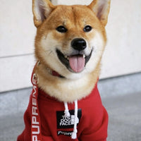 HKM-6082749 Cozy Polyester Sweatshirt for Dogs - Autumn & Winter Season Apparel