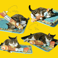 HKM-608339 Mint Fish Pet Plush Simulation Fish Pillow Cat Toy