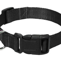 HKM-6084157 Durable Nylon Dog Collar Leash in Blue, Black, Red, and Purple Options