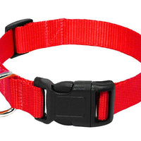 HKM-6084157 Durable Nylon Dog Collar Leash in Blue, Black, Red, and Purple Options