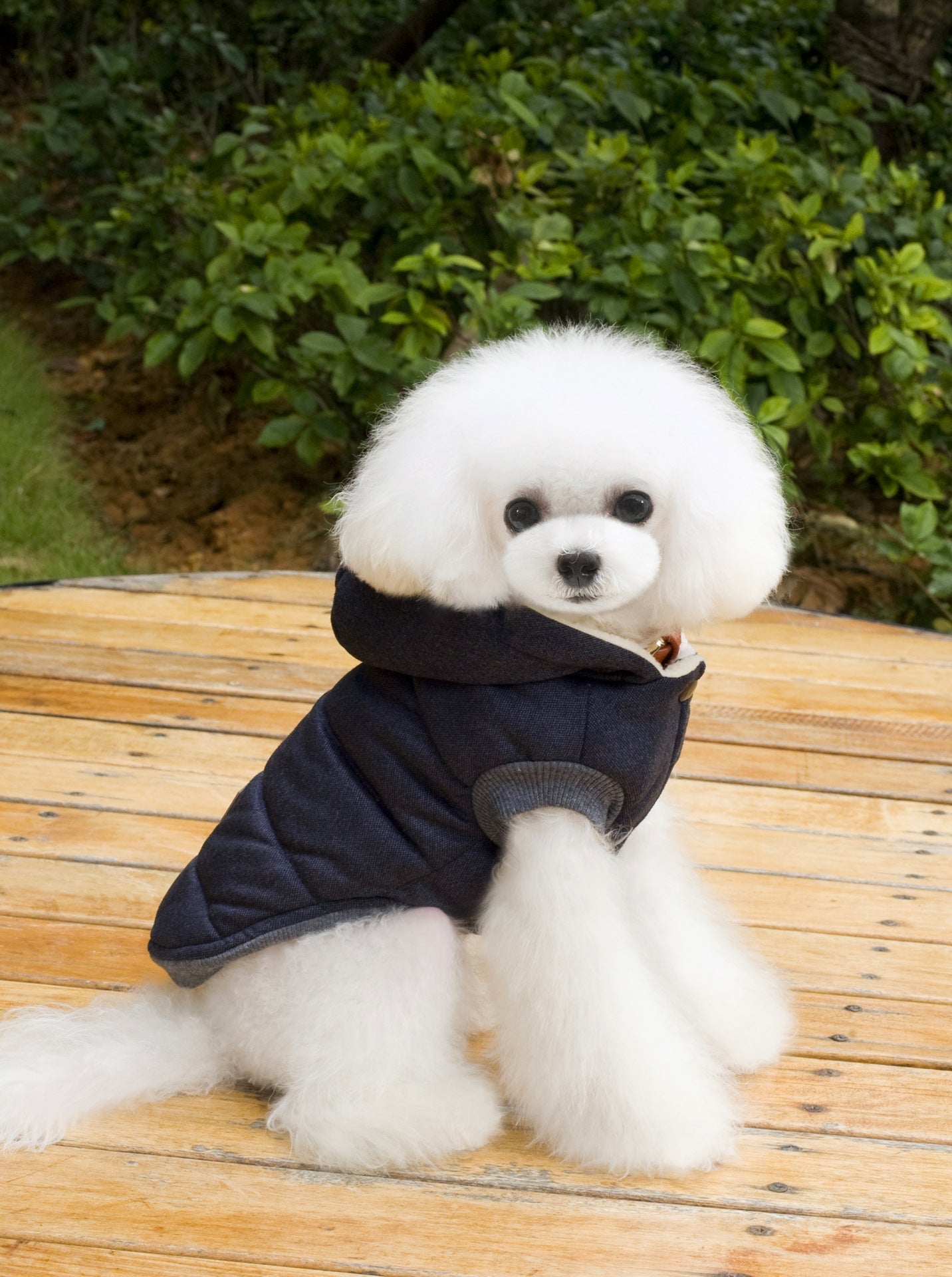 HKM-6094525 Cozy Cotton-Padded Clothing for Pets - Casual Two-Leg Design in Dark Colors