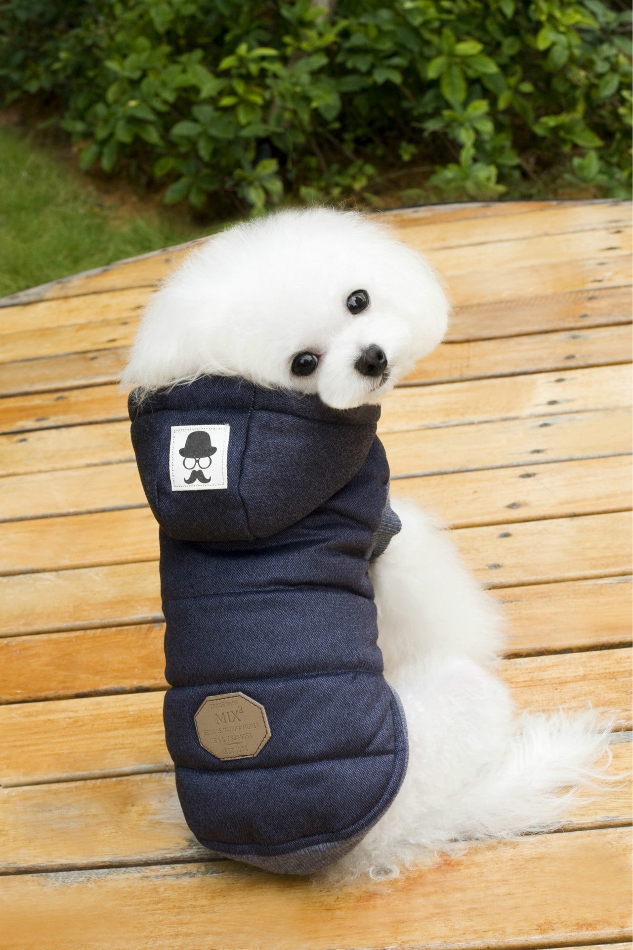 HKM-6094525 Cozy Cotton-Padded Clothing for Pets - Casual Two-Leg Design in Dark Colors