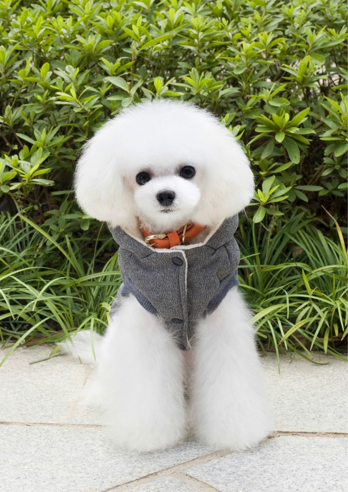 HKM-6094525 Cozy Cotton-Padded Clothing for Pets - Casual Two-Leg Design in Dark Colors