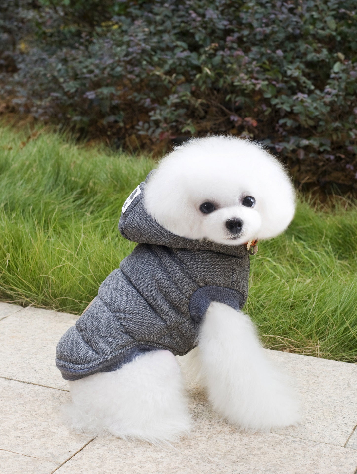 HKM-6094525 Cozy Cotton-Padded Clothing for Pets - Casual Two-Leg Design in Dark Colors