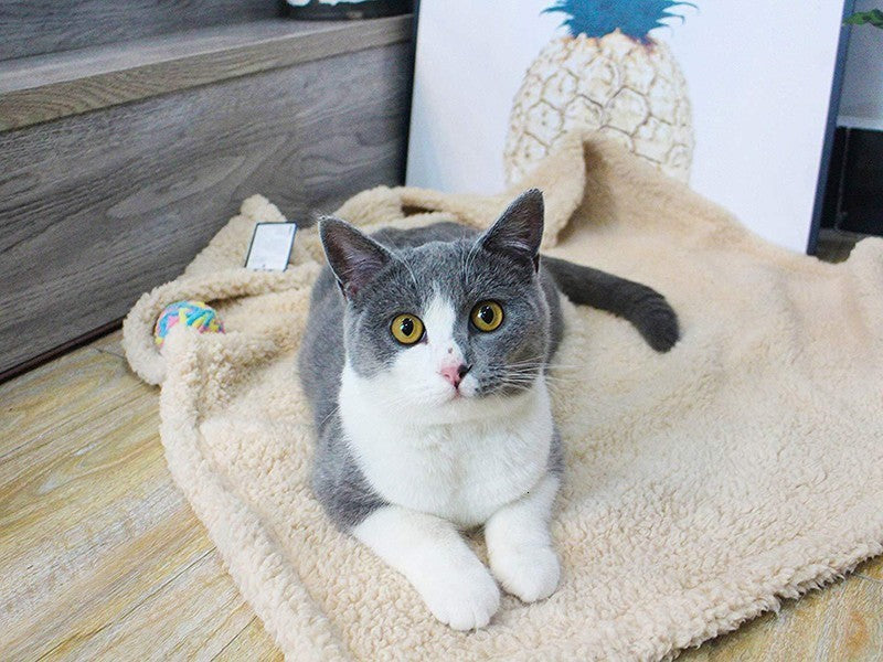 HKM-6096701 Cozy Plush Pet Blanket for Dogs and Cats - Various Sizes Available